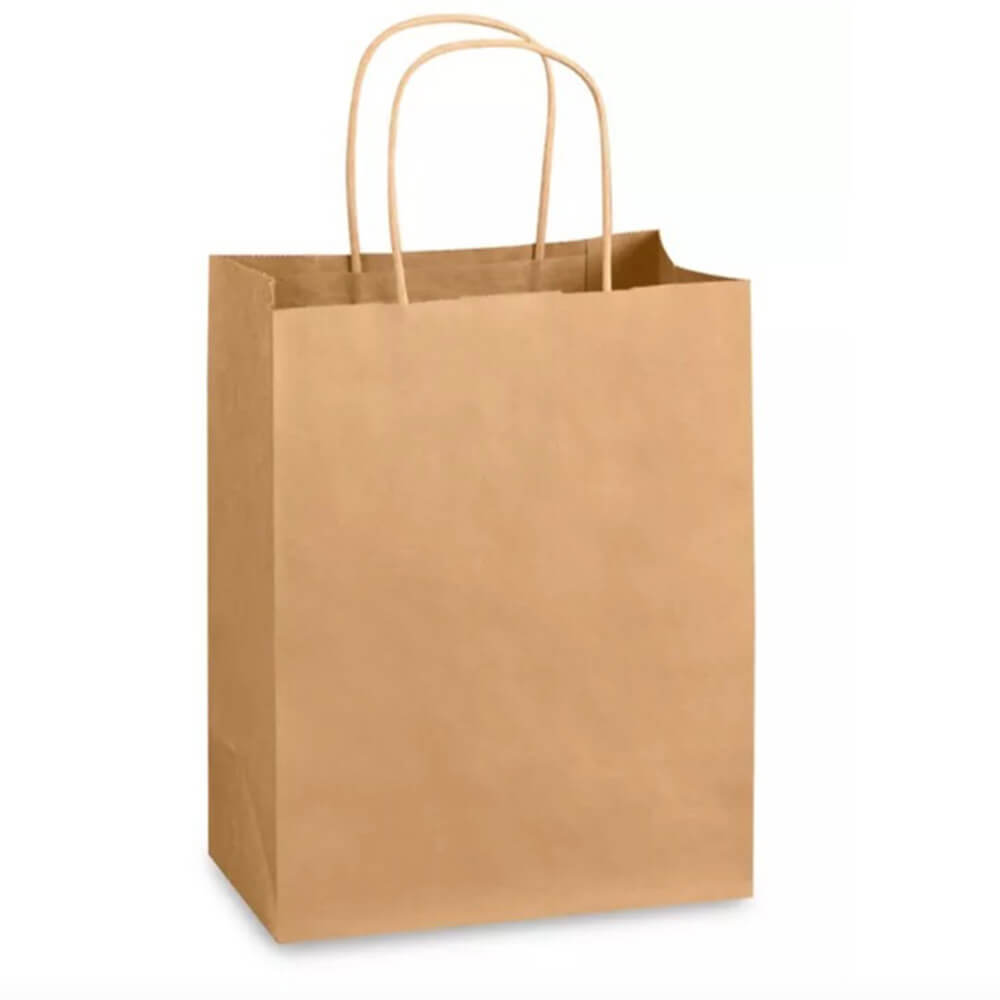 Kraft Paper Bag- Twisted handle (250/CTN)